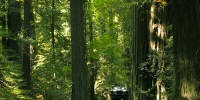 Cyclist on forest trail touring adventure
