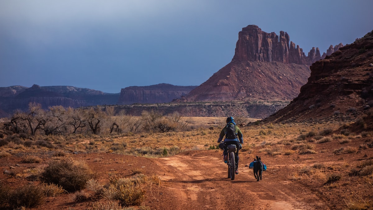 Bikepacking gear setup with bags loaded on gravel bike